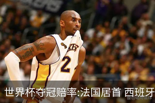 世界杯夺冠赔率:法国居首 西班牙英格兰并列第2