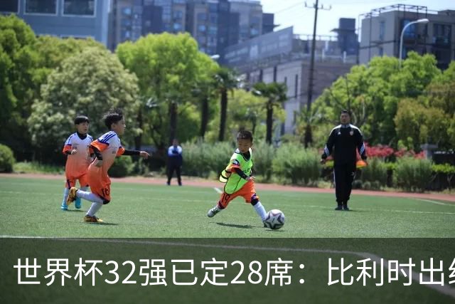 世界杯32强已定28席：比利时出线塞内加尔晋级 韩国继续等待